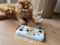 Trouve une Friandise - Casse-tête Distributeur de Friandises pour Chats et Chiens