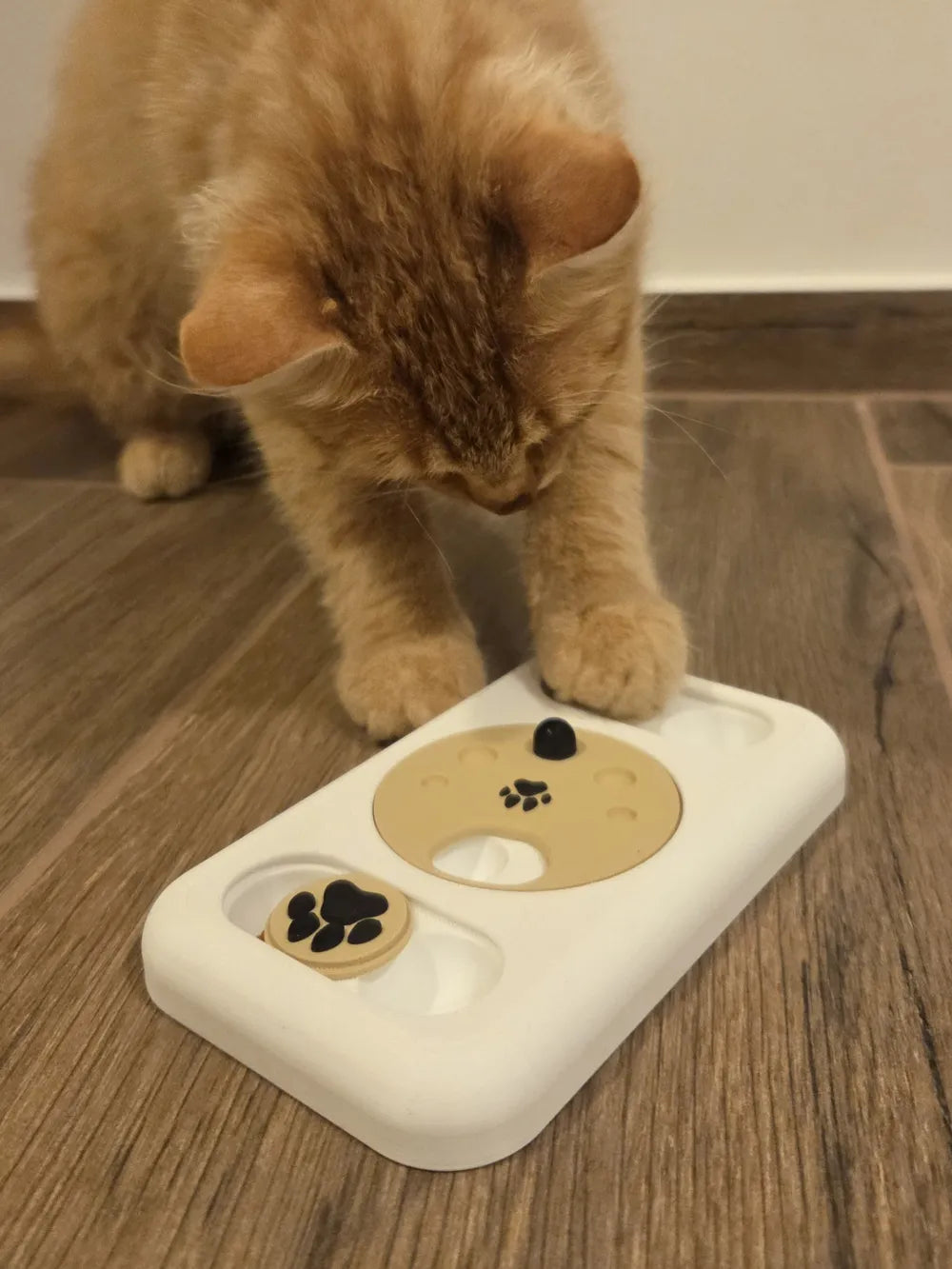 Trouve une Friandise - Casse-tête Distributeur de Friandises pour Chats et Chiens
